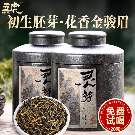 【送礼】茶叶 红茶 金骏眉 灵芽  浓香型 正宗武夷茶 罐装礼盒 五虎 125g 商品图1