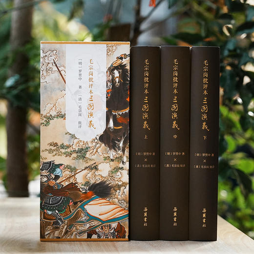毛宗岗批评本三国演义(全3册) 商品图3