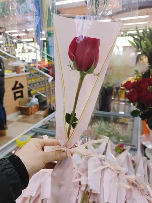 单枝红玫瑰 商品图3