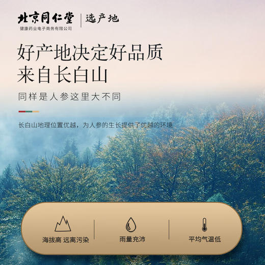 【正宗同仁堂品牌】北京同仁堂 青源堂 人参5支100克 礼盒  精选长白山生晒参 形体细长 体顺不分叉 SY 商品图4