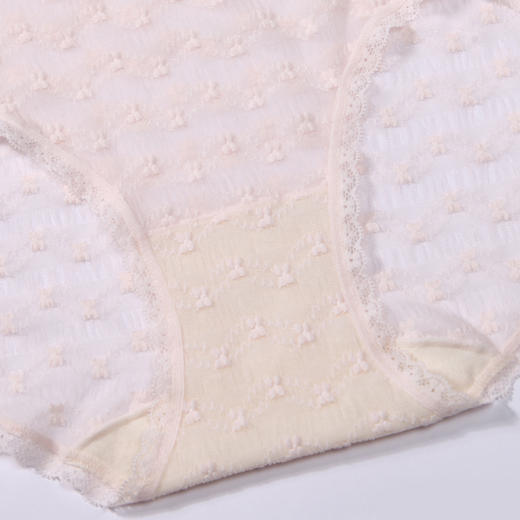 都市丽人时尚系列蕾丝网布内裤女蕾丝女士内裤低腰平角内裤LK45C8 商品图7