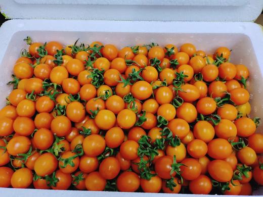 陈艺凯菇娘柿子2斤 商品图0