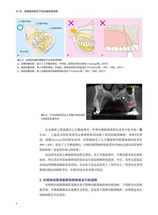 口腔临床麻醉技术与技巧 基于循证和解剖 岩永让等编 牙科学书籍 拔牙麻醉口腔临床医学书籍 辽宁科学技术出版社9787559132246 商品图3