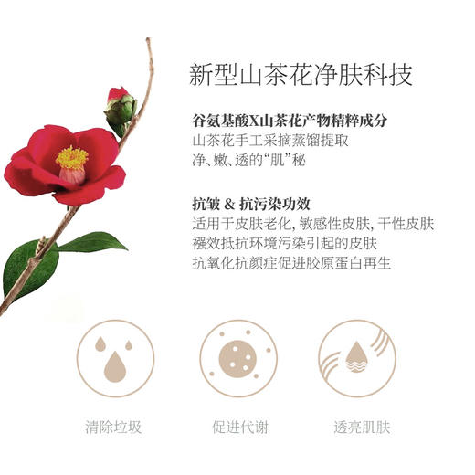 红山茶花氨基酸洁面慕斯不紧绷温和清洁植物养肤泡沫绵密150ml 商品图2