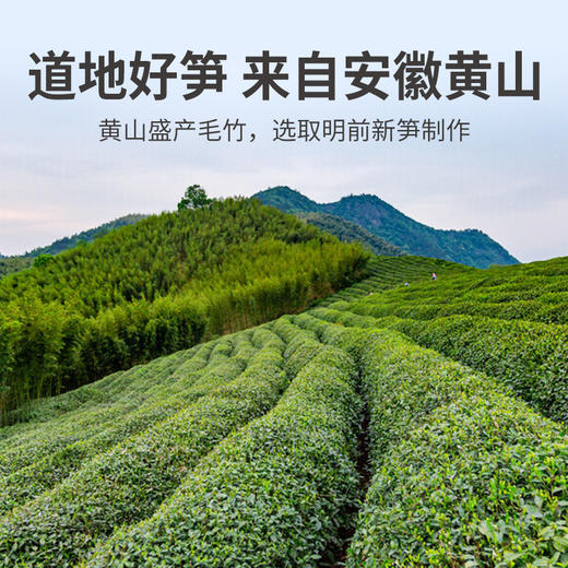 方家铺子 黄山扁尖笋500g/袋装 商品图8