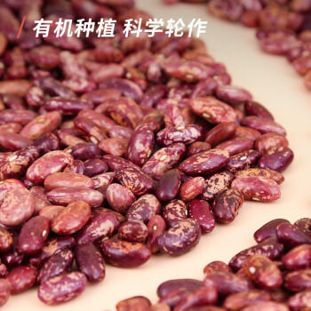 素养生活有机红腰花豆1斤 花芸豆 芸豆 东北红腰花豆 杂粮豆 五谷杂粮 商品图6