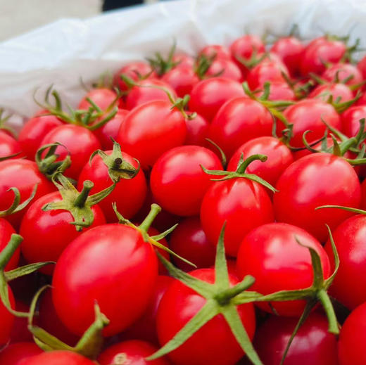 【限秒仪式感超美鲜切/出游代餐工作果切盒/杯】500g左右，生活的乐趣，就是吃自己想吃的，做自己想做的，炫就完了！ 商品图8