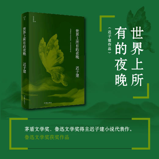 《世界上所有的夜晚》 迟子建/著 作家出版社 商品图0