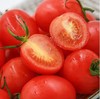 精品玲珑小番茄 两斤起售 商品缩略图1