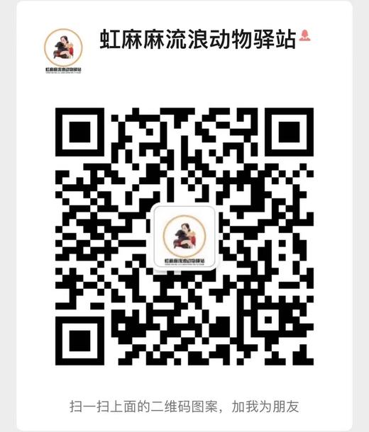 #以领养代替购买#给TA一个家 救助帮助流浪动物（本链接勿拍，仅提供领养信息） 商品图2