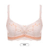 都市丽人凉感小凉风内衣女蕾丝文胸AB杯适穿3/4杯薄款树脂胶圈三排扣LB42B2 商品缩略图10