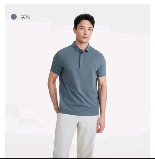 艾高 短袖POLOT恤男  AW582-F . 商品图2