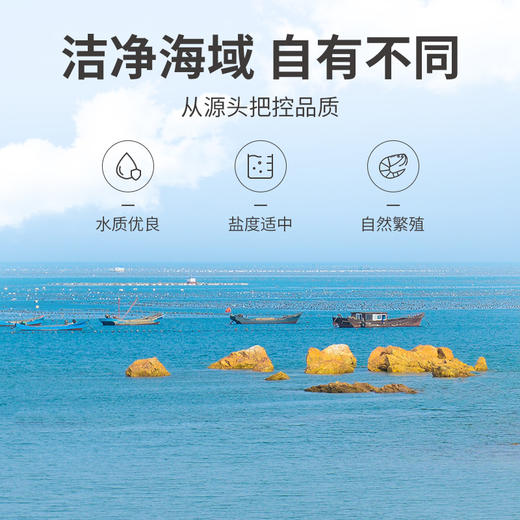 方家铺子 虾仁150g/瓶装 商品图5