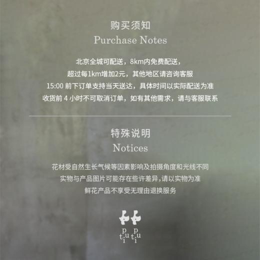 春喧娓娓 The Sound of Spring 商品图3