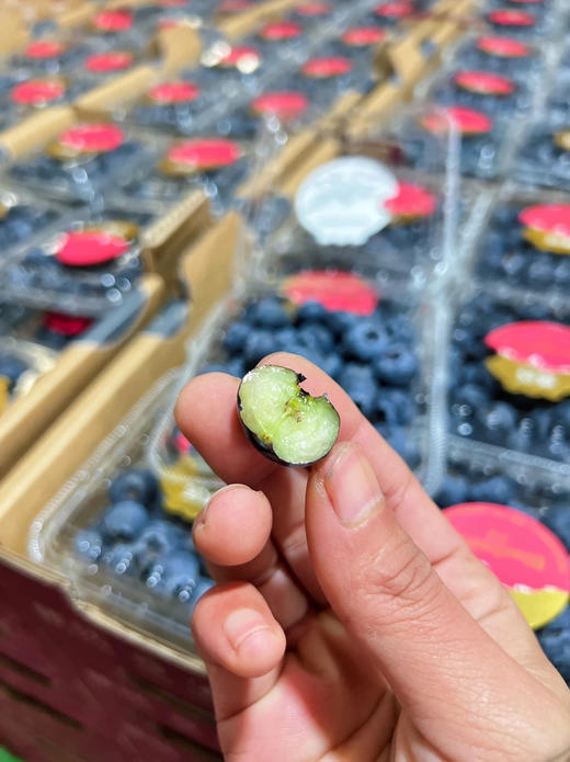 稼沃蓝莓🫐雪山甜蓝莓 天花板的蓝莓 好山好水 种出来的东西也是好的送礼，追求高品质，强烈推荐[强] 商品图10