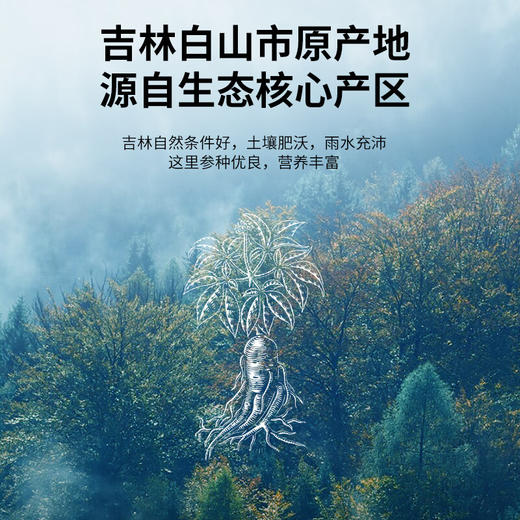 【正宗同仁堂品牌】北京同仁堂 青源堂 国产西洋参片 0号圆片 约1.8-2.5cm  100克  吉林原产 参香四溢 微苦回甘 SY 商品图1