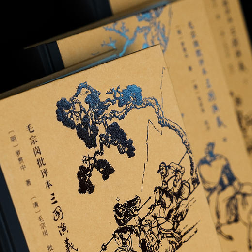 毛宗岗批评本三国演义(全3册) 商品图6