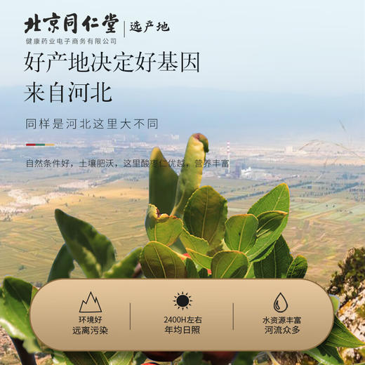 【正宗同仁堂品牌】北京同仁堂 青源堂 酸枣仁100克 河北严选 汤色透亮 拒绝熏硫SY 商品图1