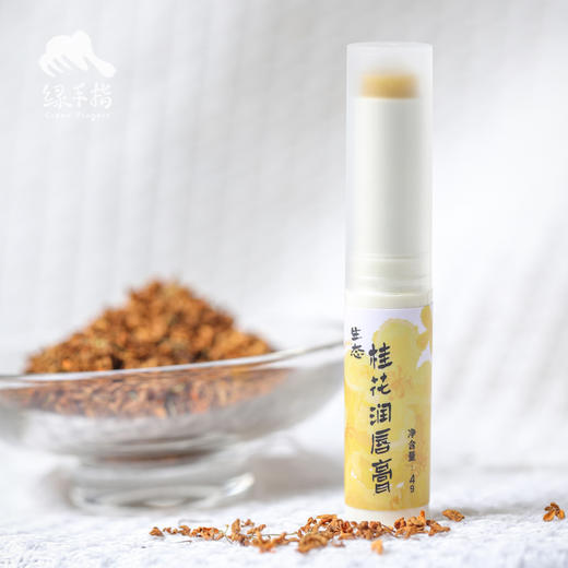 生态润唇膏 | 合作生产* Ecological lip balm | Coproduction 商品图3