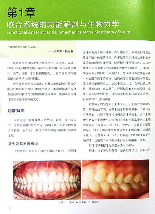 颞下颌关节紊乱病与咬合的诊治 第8版 咬合系统功能颞下颌关节紊乱病因鉴别诊断治疗咬合板 辽宁科学技术出版社9787559127907  商品图4