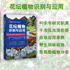 花坛植物识别与应用【40余年学科研究积累 ，千余张高清精选彩图， 造景应用案例实地拍摄 ，野生园林植物资源丰富 ，恩格勒植物分类系统方便查找 商品缩略图0
