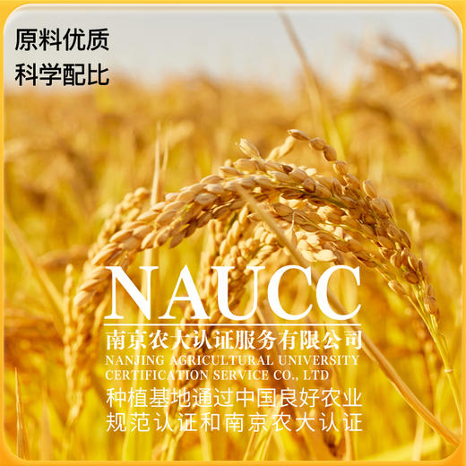 神探伍伍 低GI抗性淀粉大米 商品图3