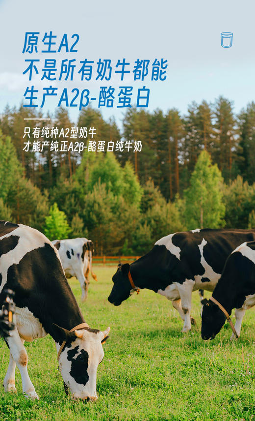 【配料只有生牛乳】放牧祁连 自然甘甜 | 云上传祁-A2β酪蛋白纯牛奶 乳糖不耐受的人也能喝 纯正A2蛋白营养 早餐牛奶 160ml*16瓶/箱 商品图7