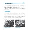 柑橘栽培管理手册   [日]岸野 功([日]岸野 功) 商品缩略图4