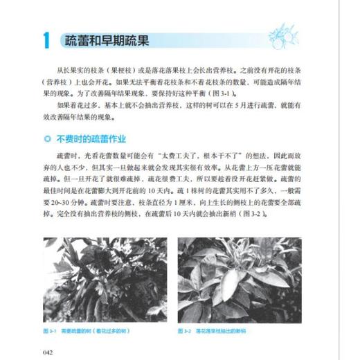 柑橘栽培管理手册   [日]岸野 功([日]岸野 功) 商品图4