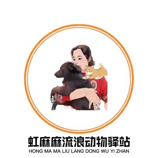 #以领养代替购买#给TA一个家 救助帮助流浪动物（本链接勿拍，仅提供领养信息） 商品图0