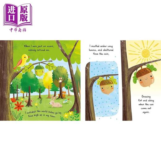 【中商原版】自然的小故事 季节 Little Nature Stories Stories of the Seasons 英文原版 儿童绘本 亲子早教认知故事书 精装 商品图3