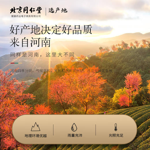 【正宗同仁堂品牌】北京同仁堂 青源堂 金银花茶40克 完整花苞 形态饱满 严选河南 口感清新 SY 商品图1