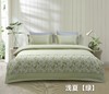 四件套浅夏200*230 商品缩略图0