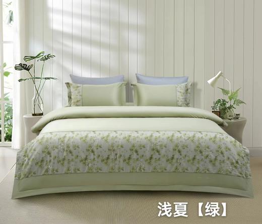 四件套浅夏200*230 商品图0