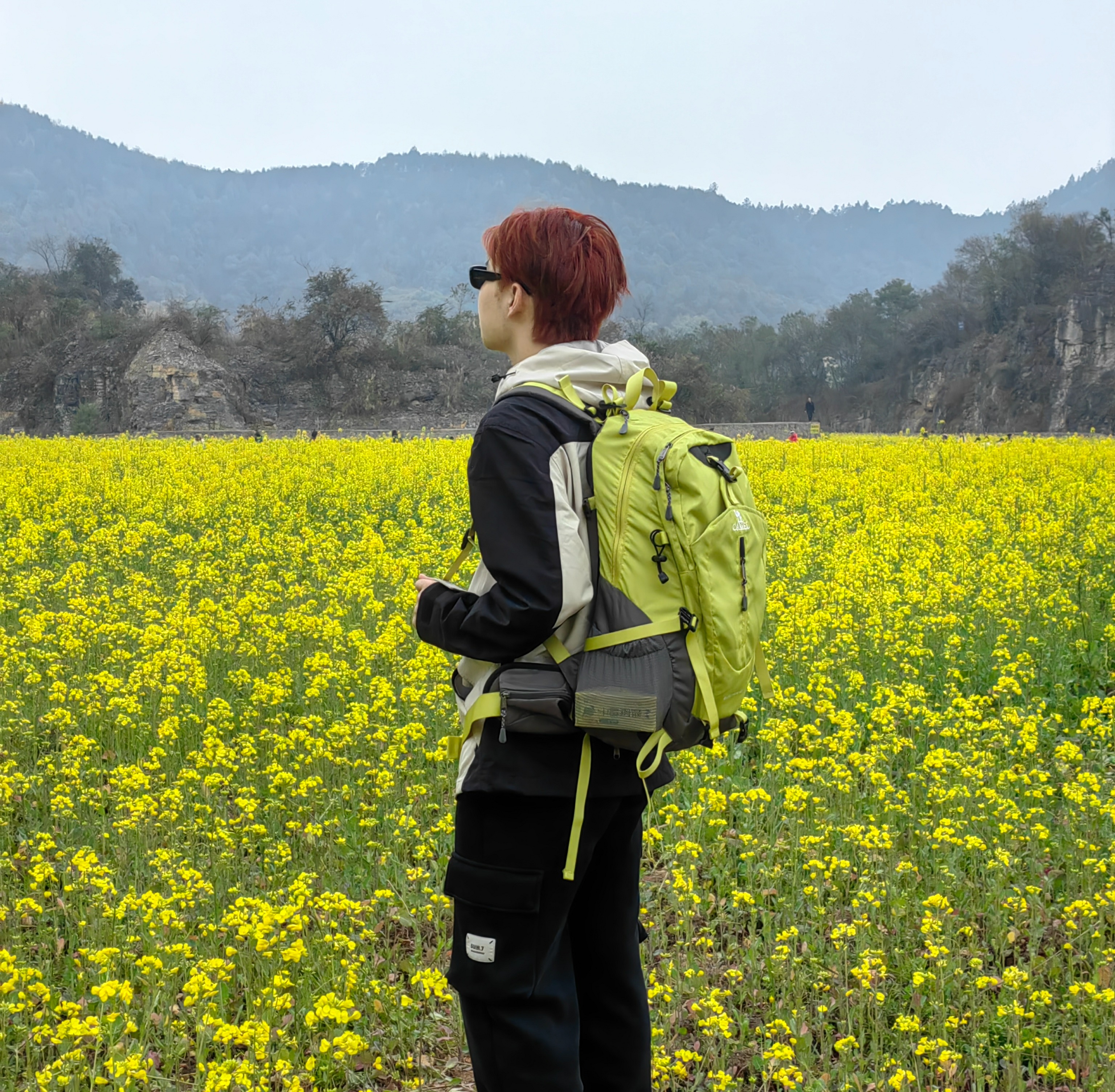 【巴南天堂坝】独属于主城的油菜花田~