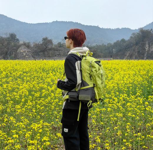 【巴南天堂坝】独属于主城的油菜花田~ 商品图0