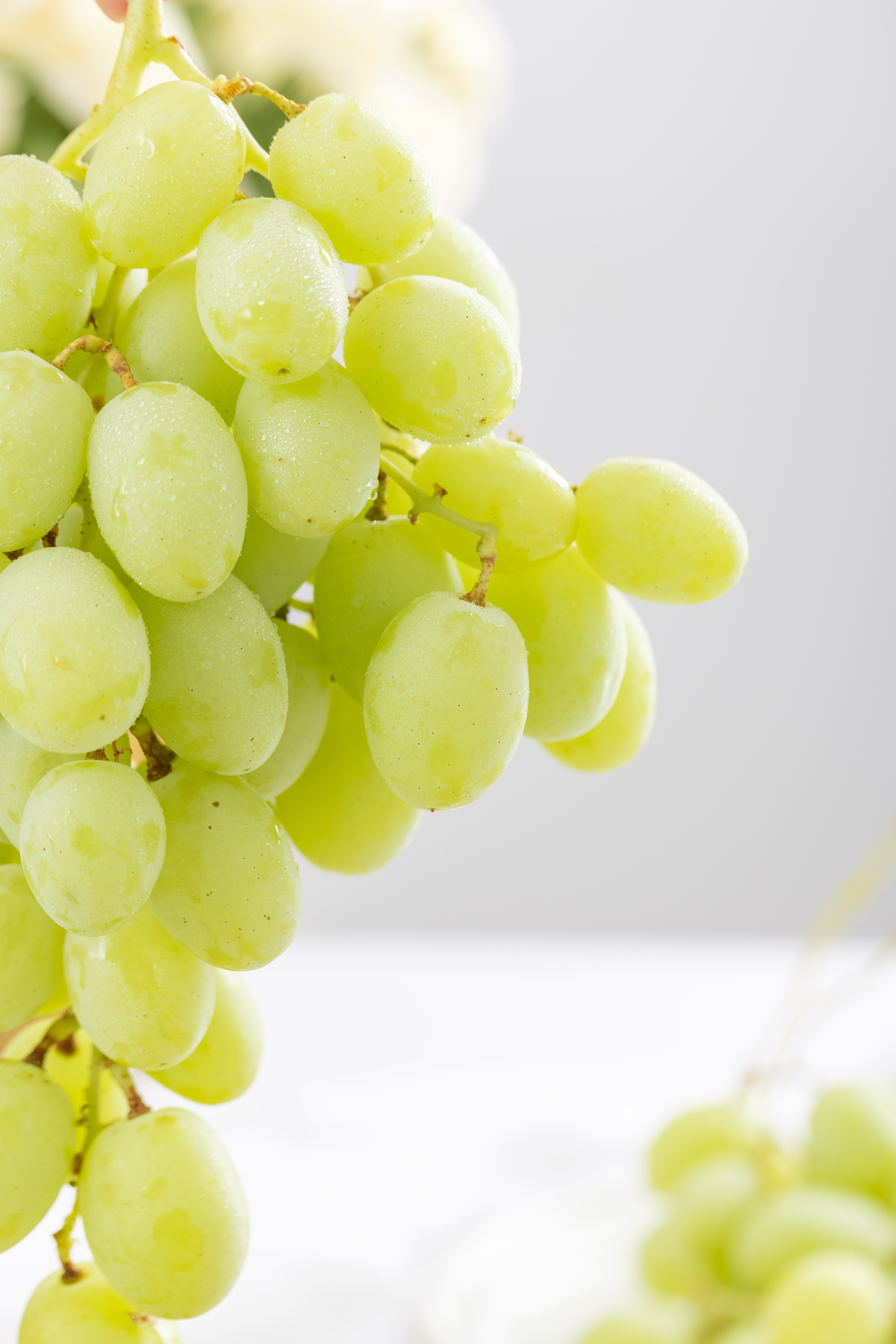 澳洲空运 甜地球青提 无籽提子/葡萄 2斤/4斤 顺丰空运