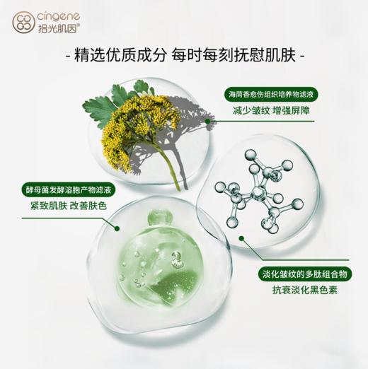 【海茴香系列】海茴香谧环光肽抗皱霜 商品图2