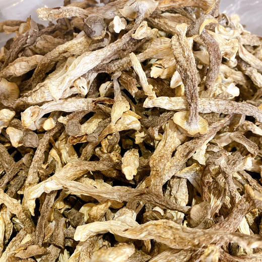 鹿茸菇 商品图0