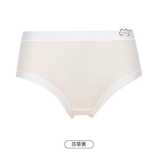 都市丽人功能系列生理裤内裤女锦泳女士内裤中腰平角内裤LK48A3 商品图9