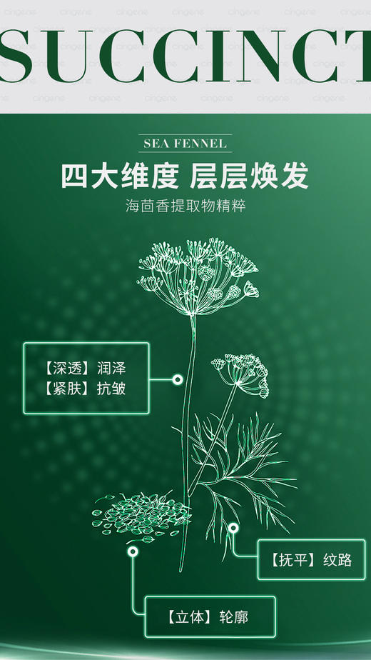 拾光肌因海茴香油+海茴香面膜油敷套组 商品图5