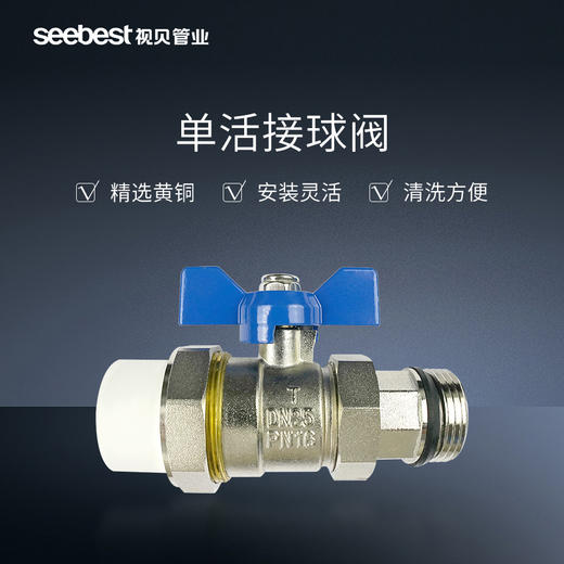 PE-RT系列 进回水套阀 单活接球阀 商品图0