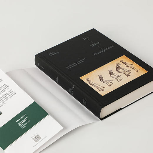 第三种黑猩猩 人类的身世与未来 贾雷德戴蒙德著 商品图5