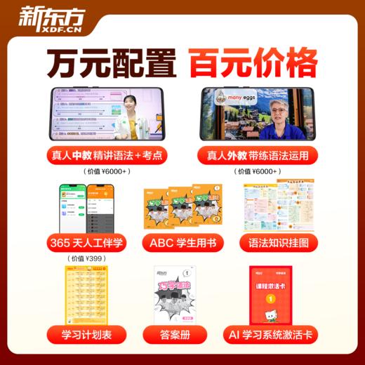 【新东方】巧学语法 一套搞定小初高语法（学+练+考+用）英语语法学习大招高效提升 商品图7