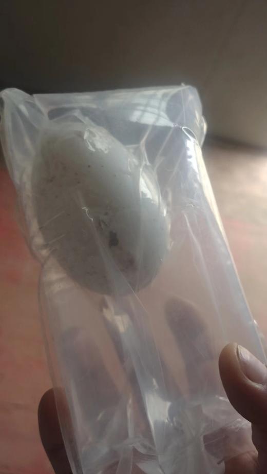 鹅蛋（4个/盒）重量一斤约3个 商品图2