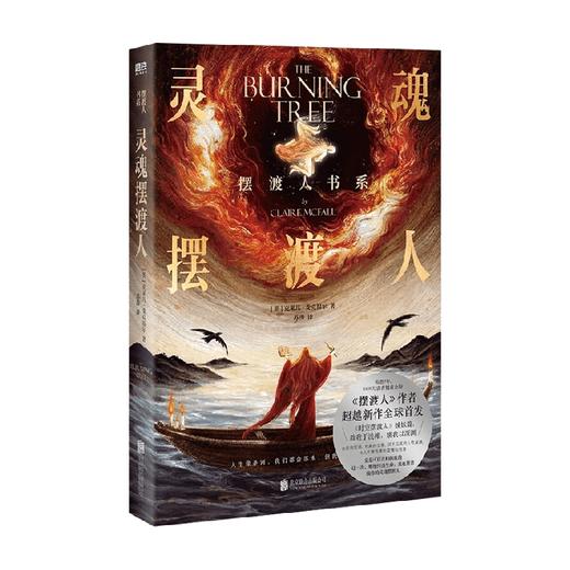 灵魂摆渡人 克莱儿·麦克福尔 著 小说 商品图4