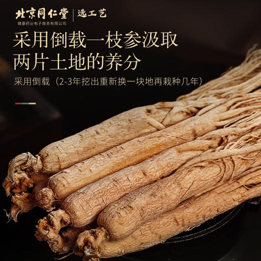 【正宗同仁堂品牌】北京同仁堂 青源堂 人参5支100克 礼盒  精选长白山生晒参 形体细长 体顺不分叉 SY 商品图3