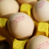 山东广电定制富硒叶黄素鸡蛋30枚/盒 商品缩略图5