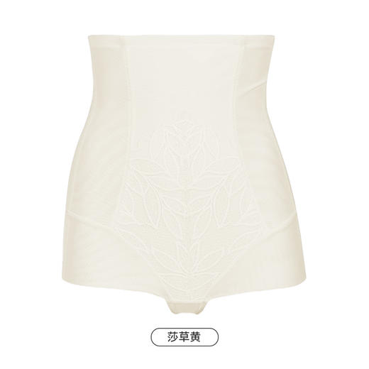 都市丽人美体纤塑中塑束裤女蕾丝+网纱塑身无平角束裤LT42A6 商品图13