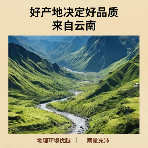【正宗同仁堂品牌】北京同仁堂 青源堂 玛咖250克 云南原产 片型更大 自然晾晒 拒绝熏硫SY 商品图5